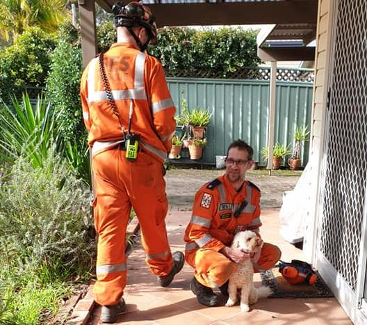 ses units with dog