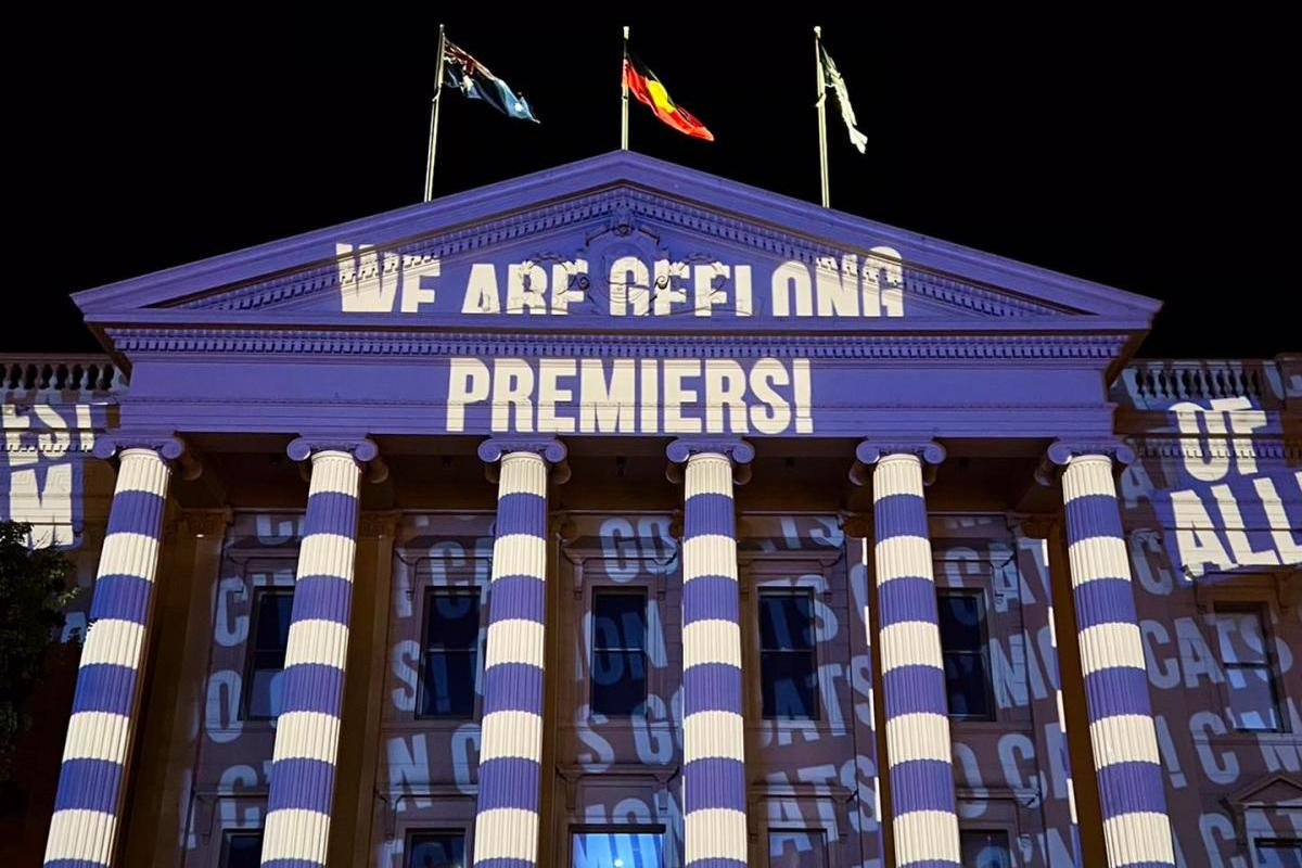 cats premiers on city hall