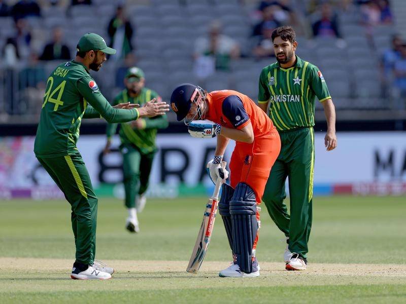 Pakistan crush Netherlands at World Cup